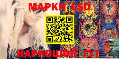 дмт Донской