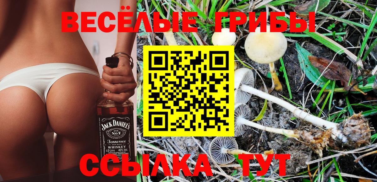 Галлюциногенные грибы Psilocybine cubensis  Галлюциногенные грибы GOLDEN TEACHER  Вход с VPN  Лянтор 