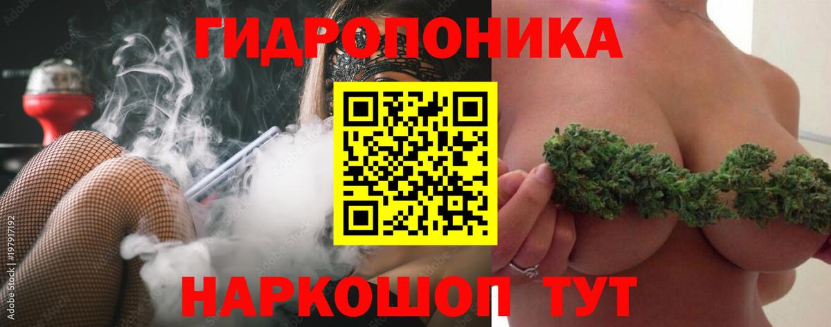 Лянтор  Каннабис сатива  Бошки Шишки LSD WEED  Конопля сатива  Вход с VPN 